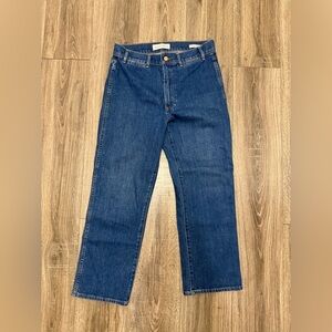 Denim Forum The Francoise High Rise Straight Jean Size 31 Aritzia